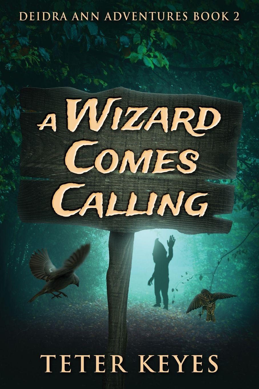 Vorderes Coverbild A Wizard Comes Calling