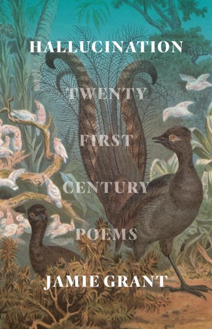 Vorderes Coverbild Hallucination