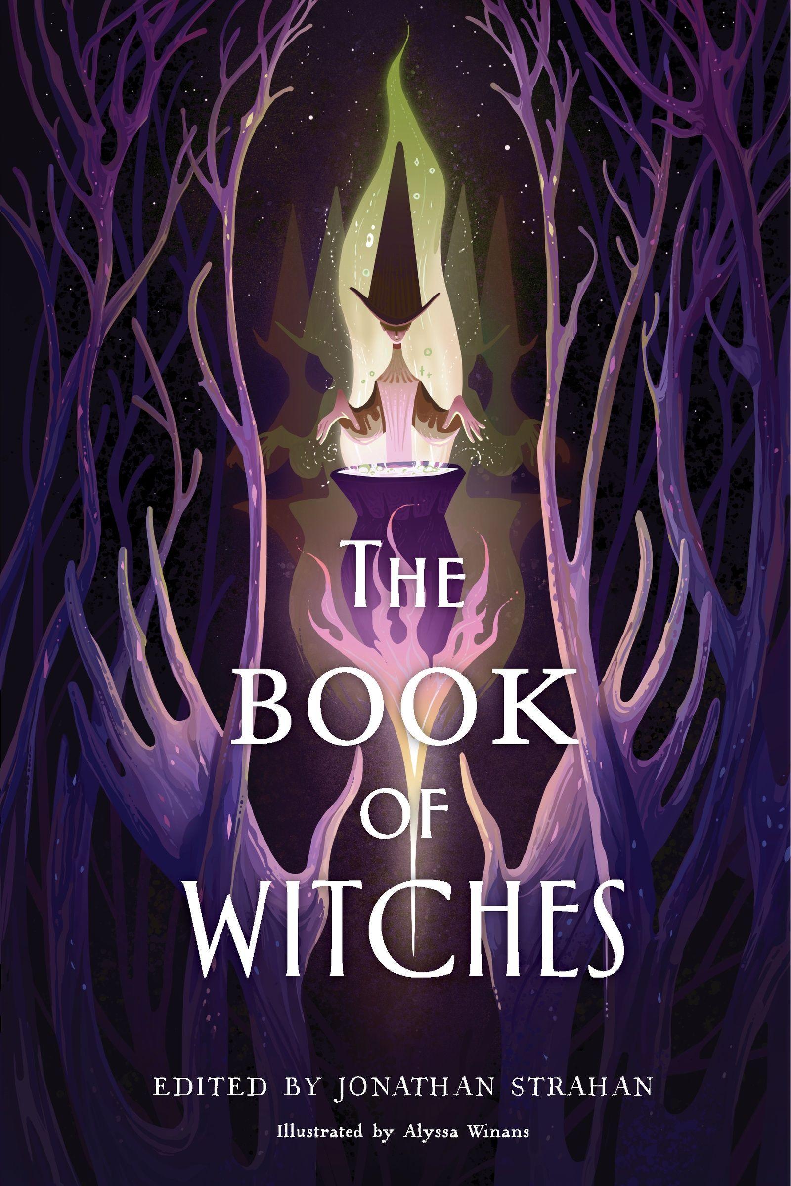 Vorderes Coverbild The Book of Witches
