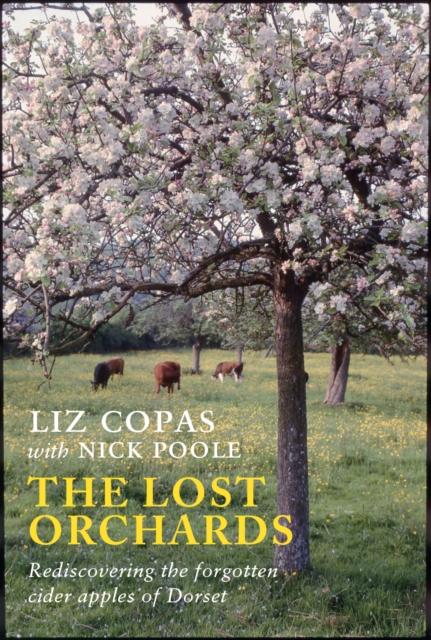 Vorderes Coverbild The Lost Orchards