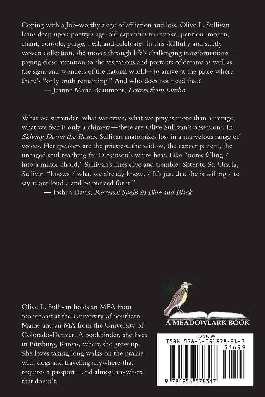 Rückseitencover Skiving Down the Bones