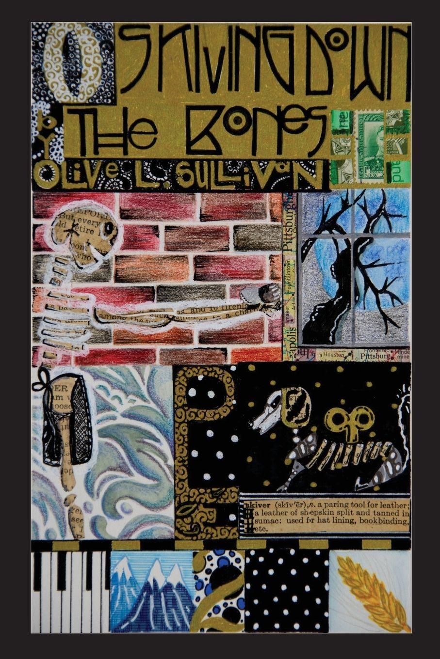 Vorderes Coverbild Skiving Down the Bones