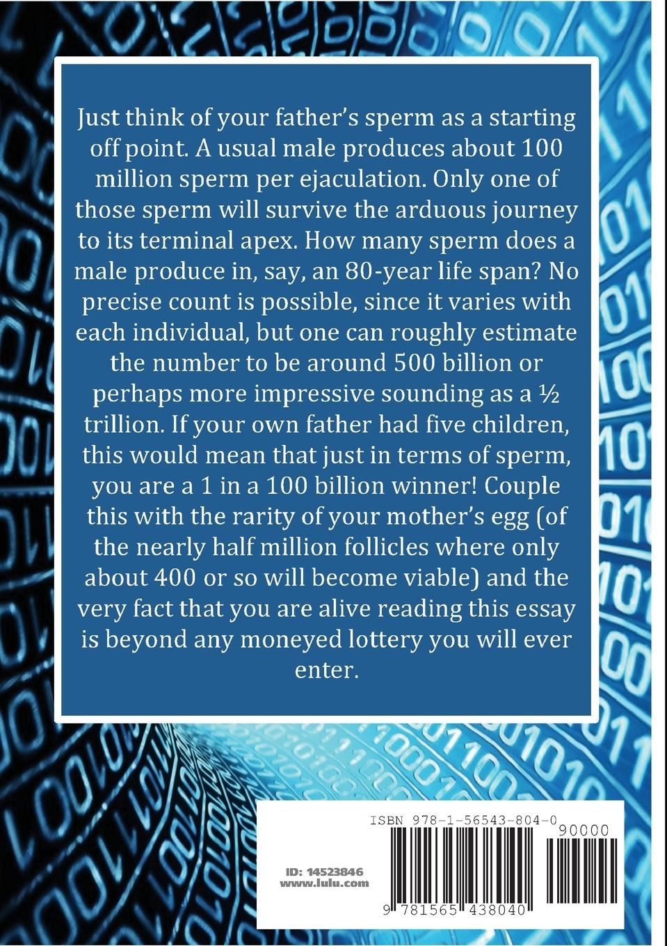 Rückseitencover You Are Probability