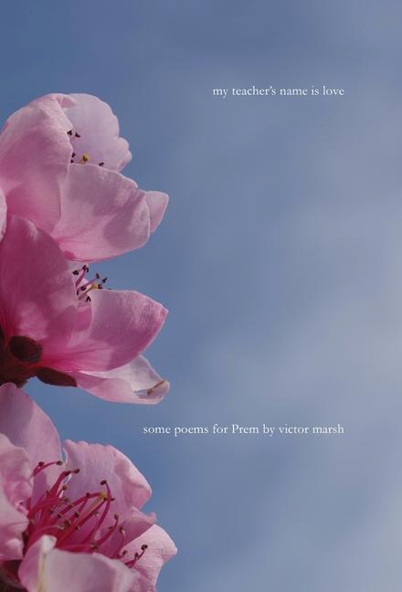 Vorderes Coverbild My Teacher's Name is Love