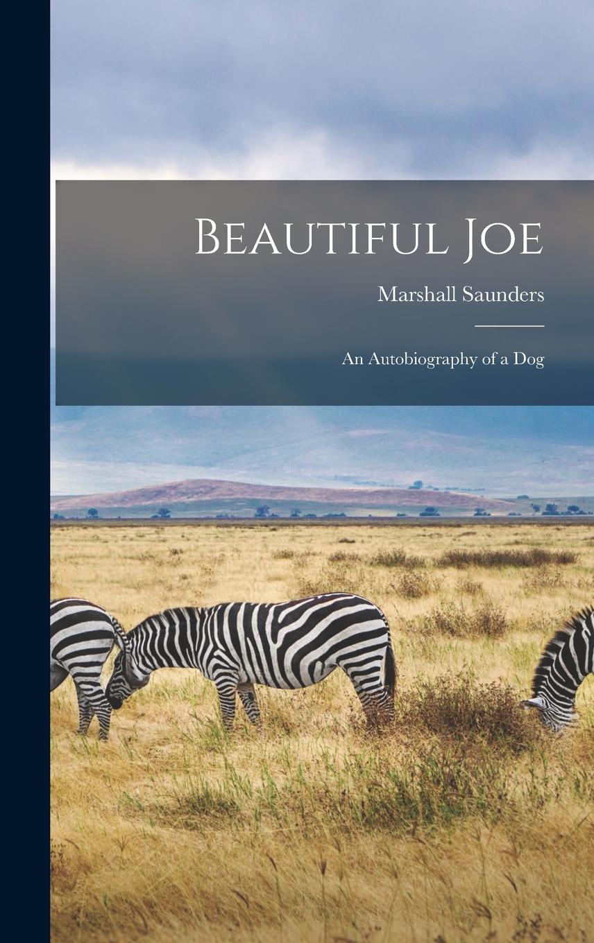Vorderes Coverbild Beautiful Joe