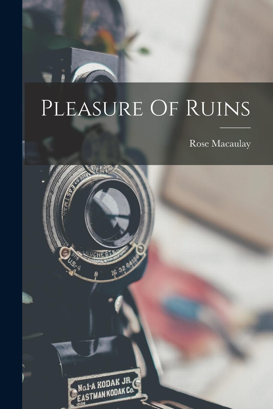 Vorderes Coverbild Pleasure Of Ruins
