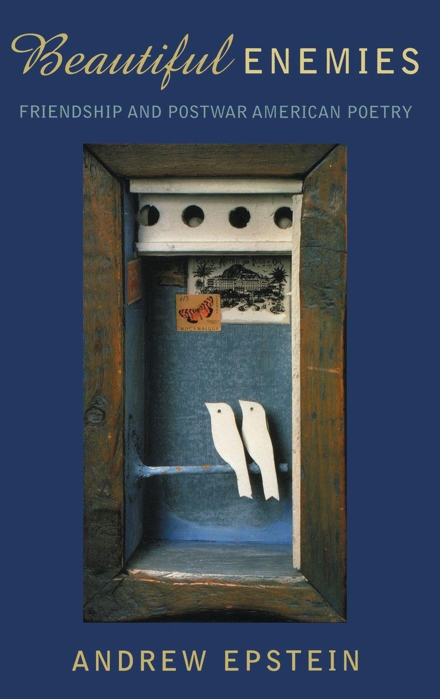 Vorderes Coverbild Beautiful Enemies