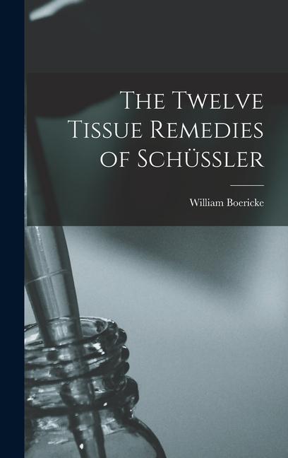 Vorderes Coverbild The Twelve Tissue Remedies of Schüssler