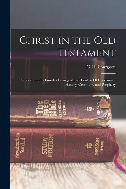 Vorderes Coverbild Christ in the Old Testament: Sermons on the Foreshadowings of our Lord in Old Testament History, Ceremony and Prophecy