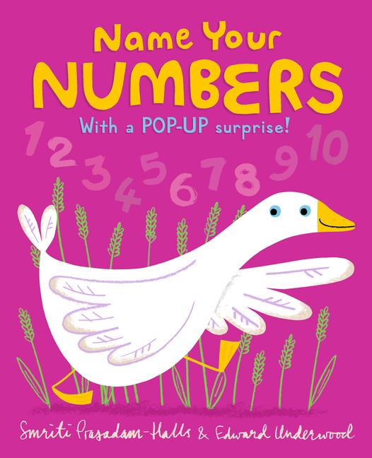 Vorderes Coverbild Name Your Numbers