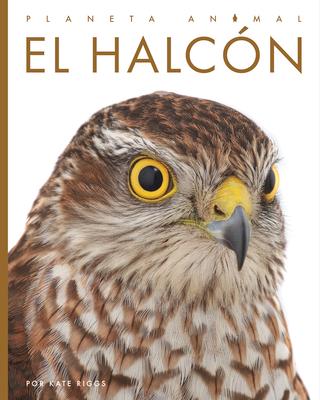 Vorderes Coverbild El Halcón