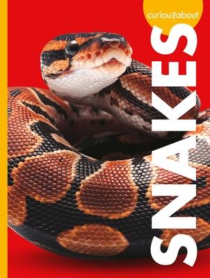 Vorderes Coverbild Curious about Snakes