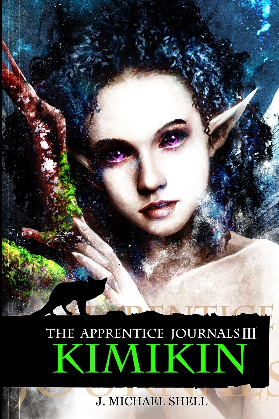 Vorderes Coverbild The Apprentice Journals III