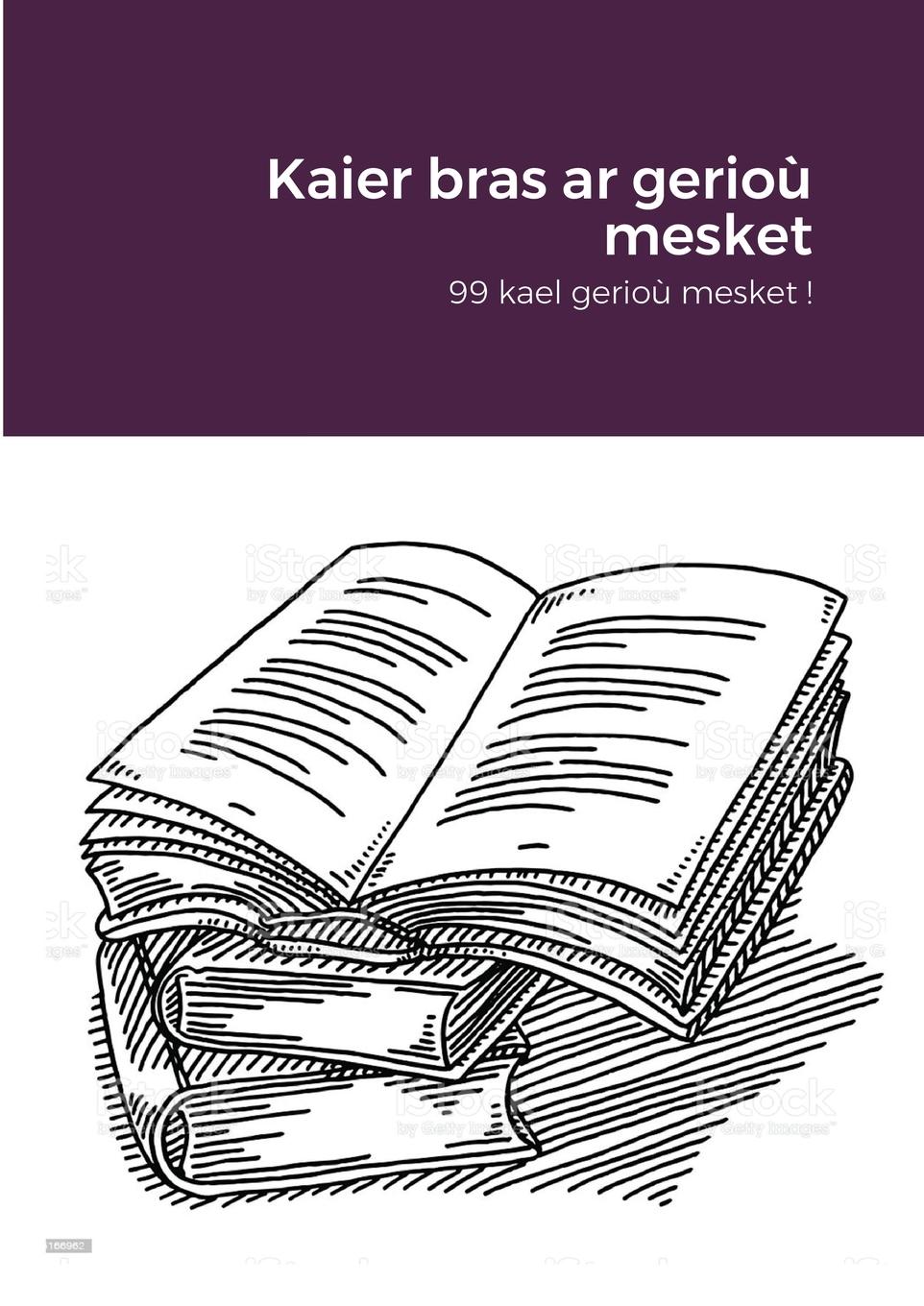 Vorderes Coverbild Kaier bras ar gerioù mesket