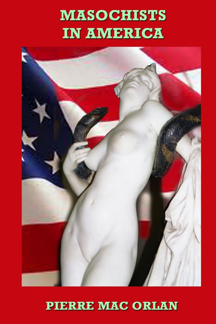 Vorderes Coverbild Masochists in America