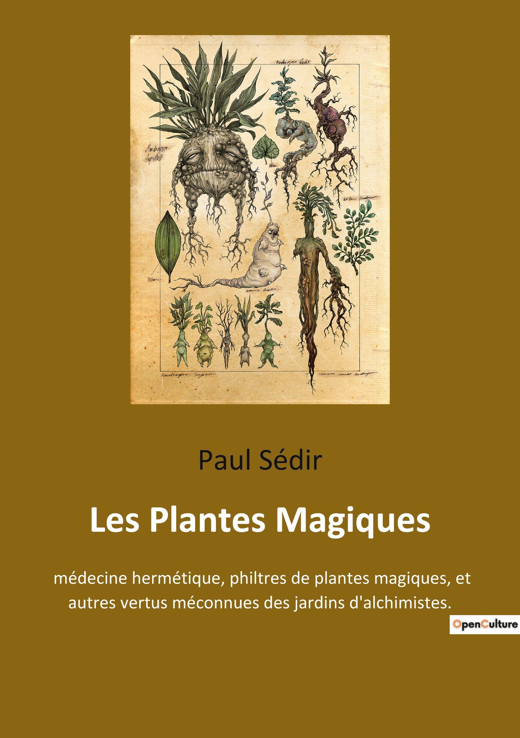 Vorderes Coverbild Les Plantes Magiques