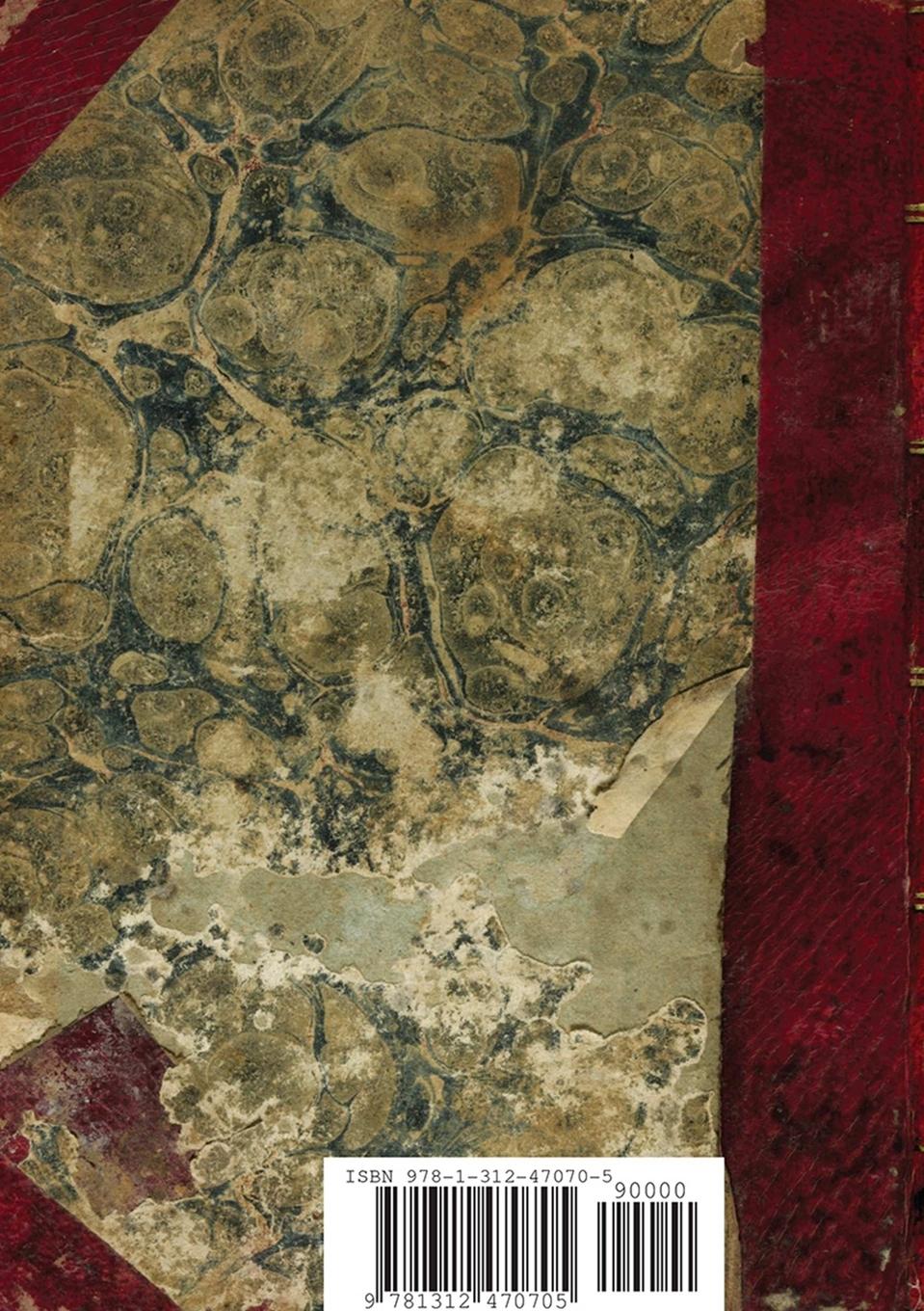 Rückseitencover A Professional Soldier