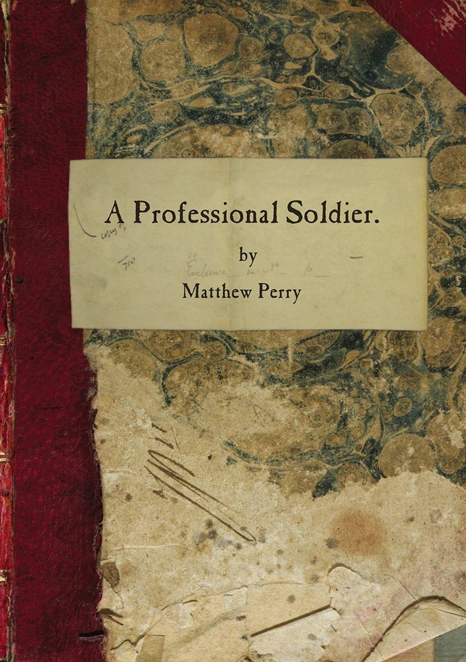 Vorderes Coverbild A Professional Soldier