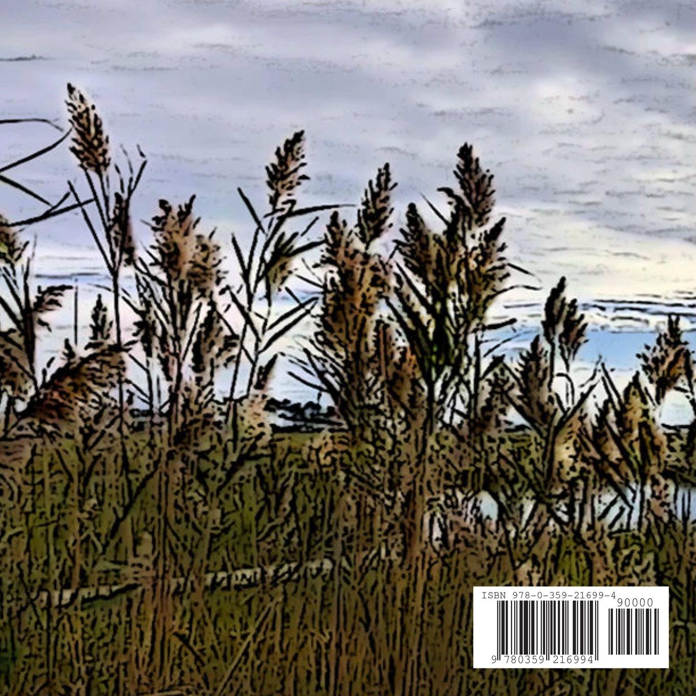 Rückseitencover The Maryland Diet