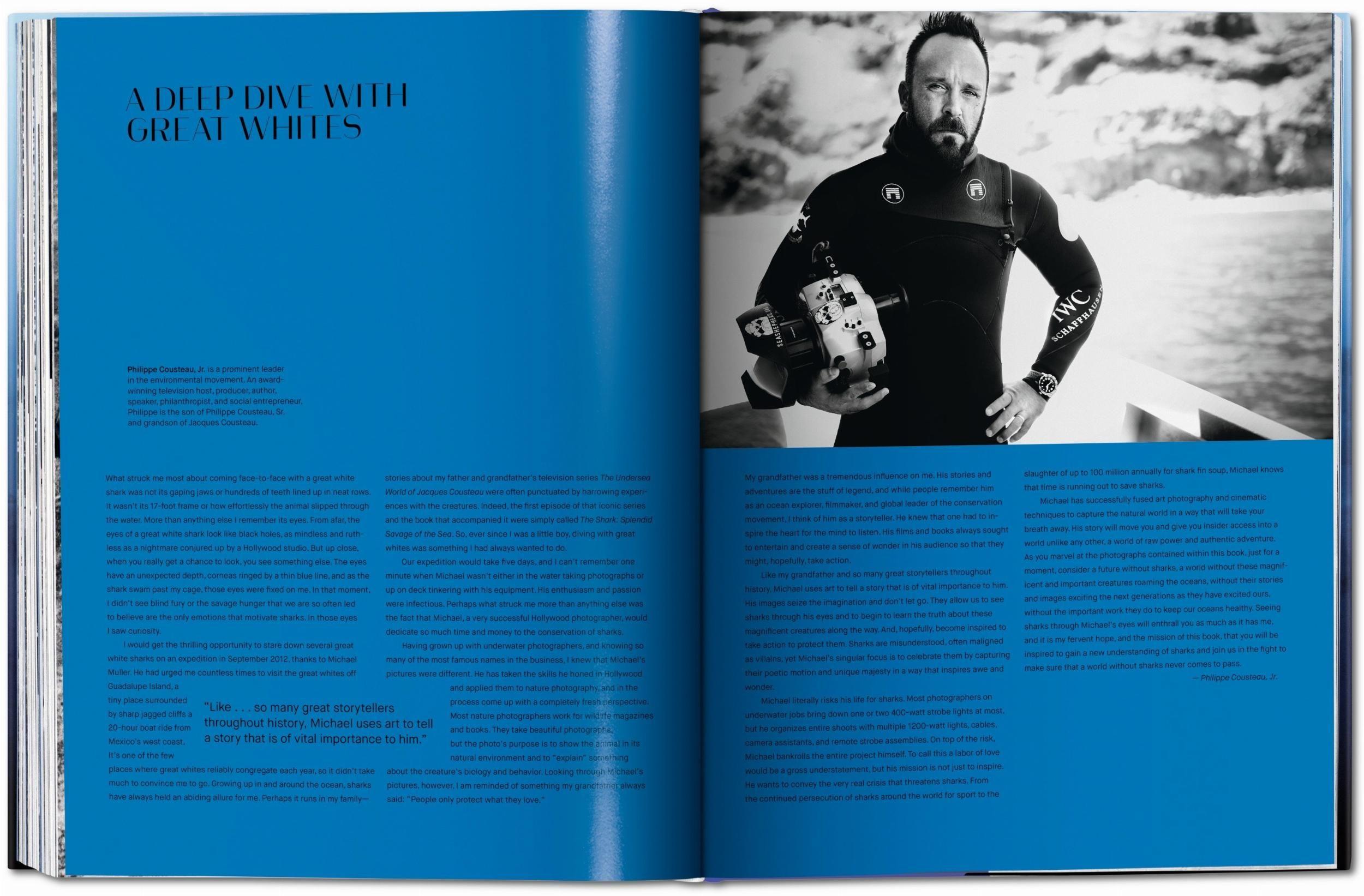 Beispielinhalt (Bild) Michael Muller. Sharks