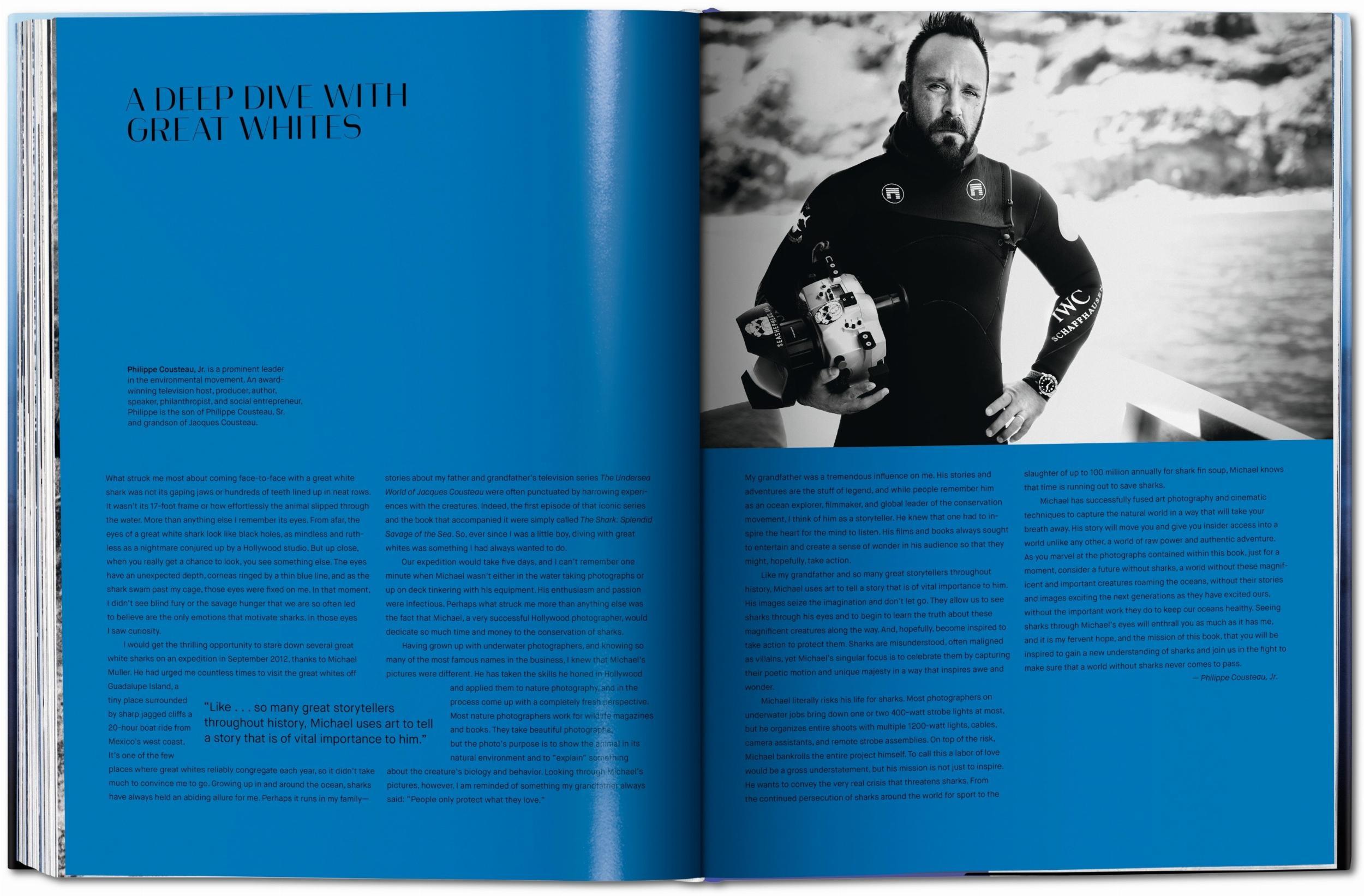 Beispielinhalt (Bild) Michael Muller. Sharks