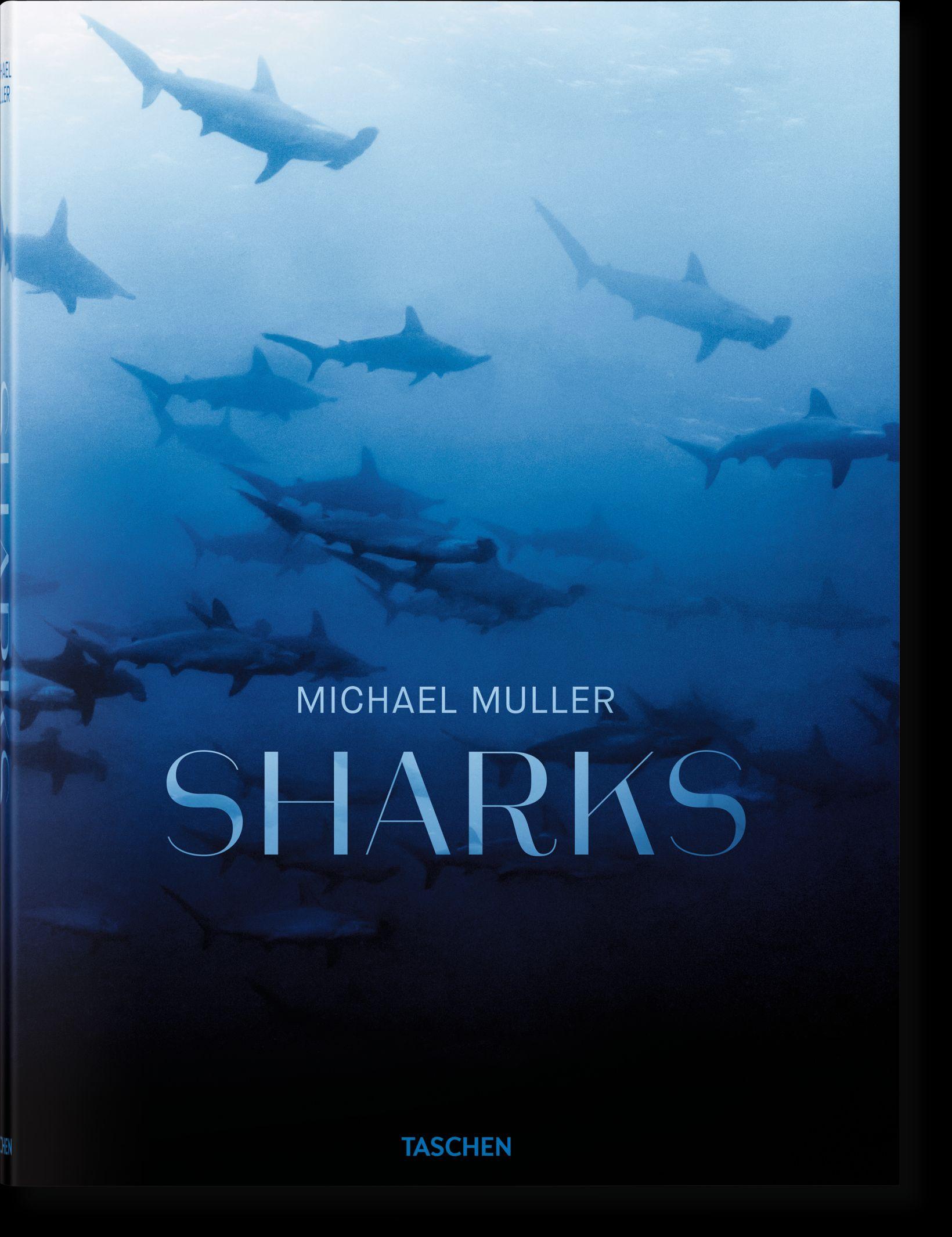Vorderes Coverbild Michael Muller. Sharks