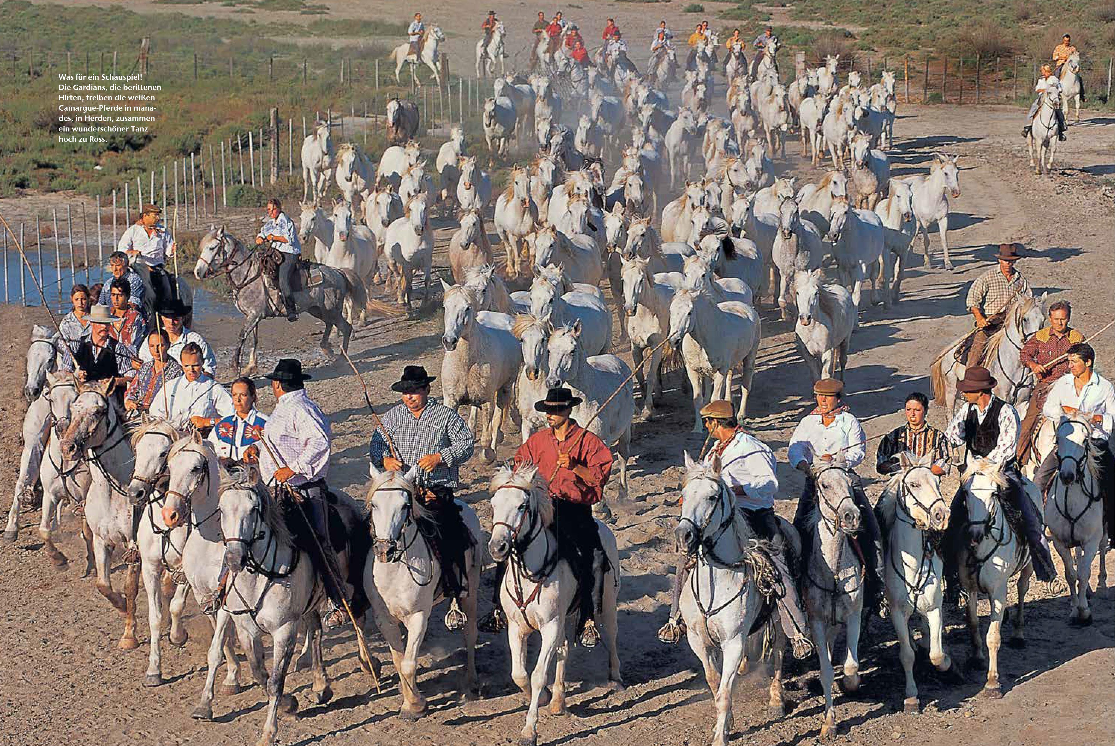 Beispielinhalt (Bild) Das Wohnmobil Reisebuch Frankreich