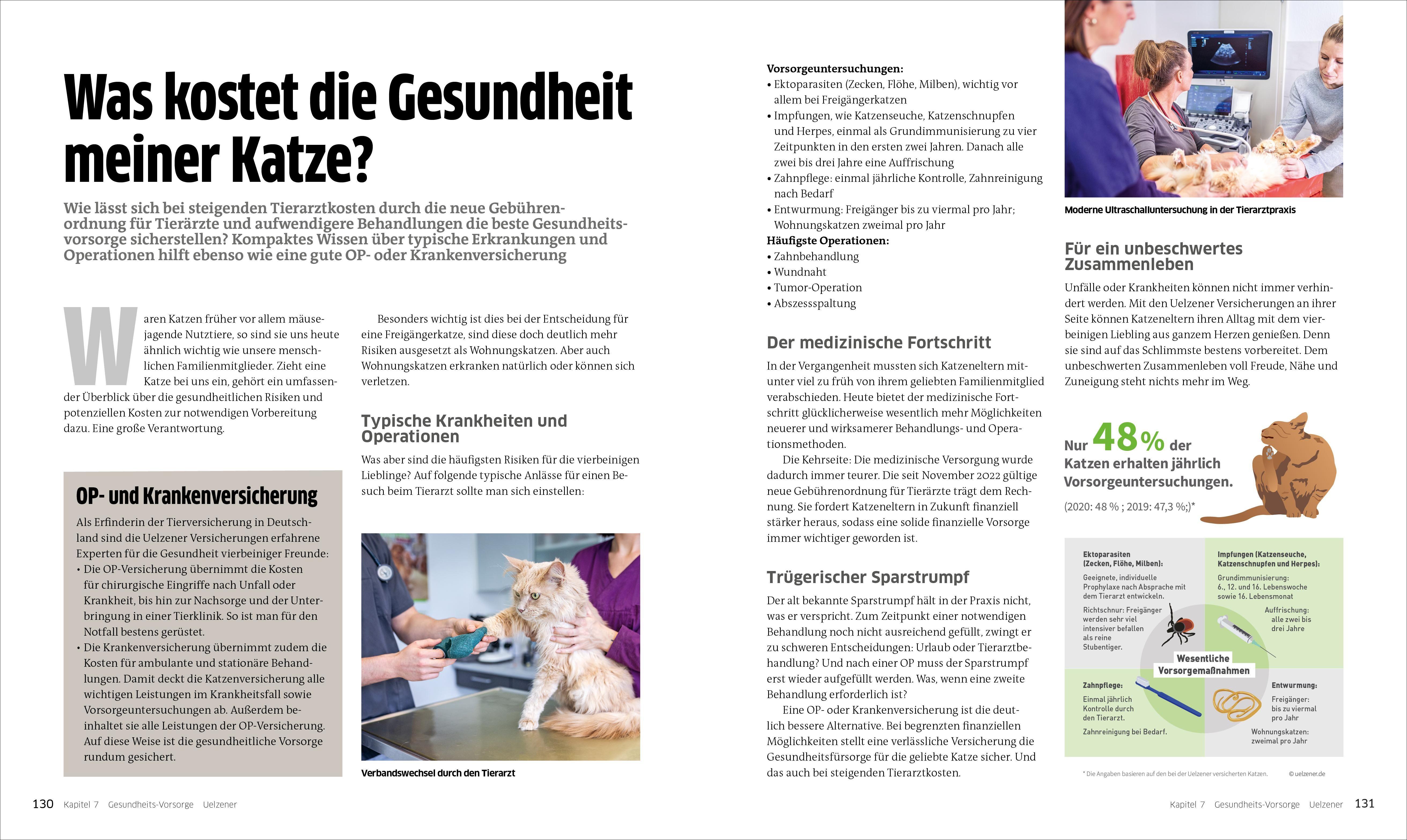 Beispielinhalt (Bild) Die große Katzenbibel