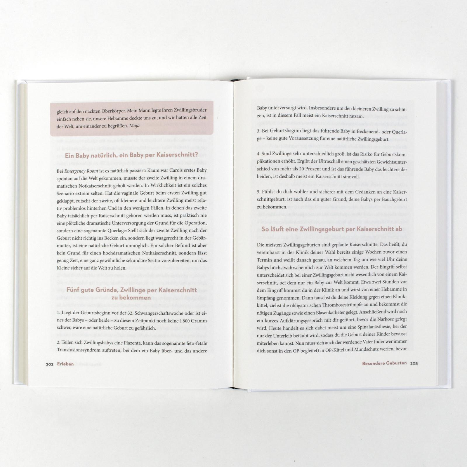 Beispielinhalt (Bild) Das Geburtsbuch
