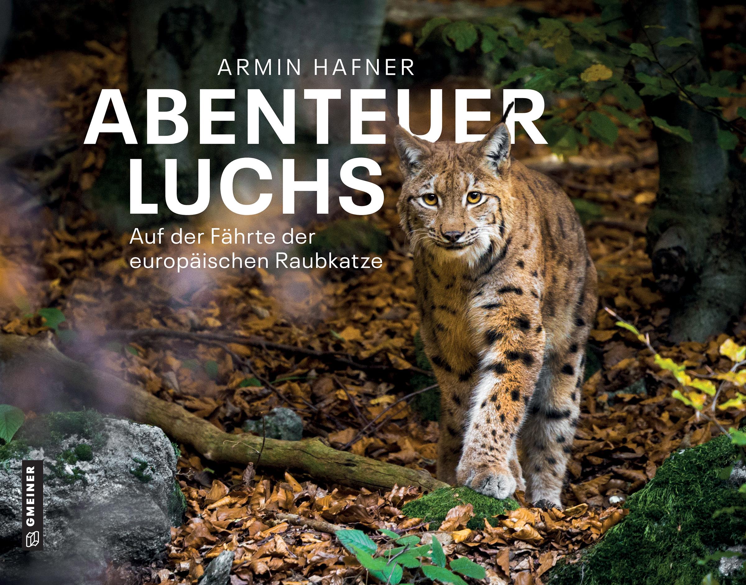 Vorderes Coverbild Abenteuer Luchs