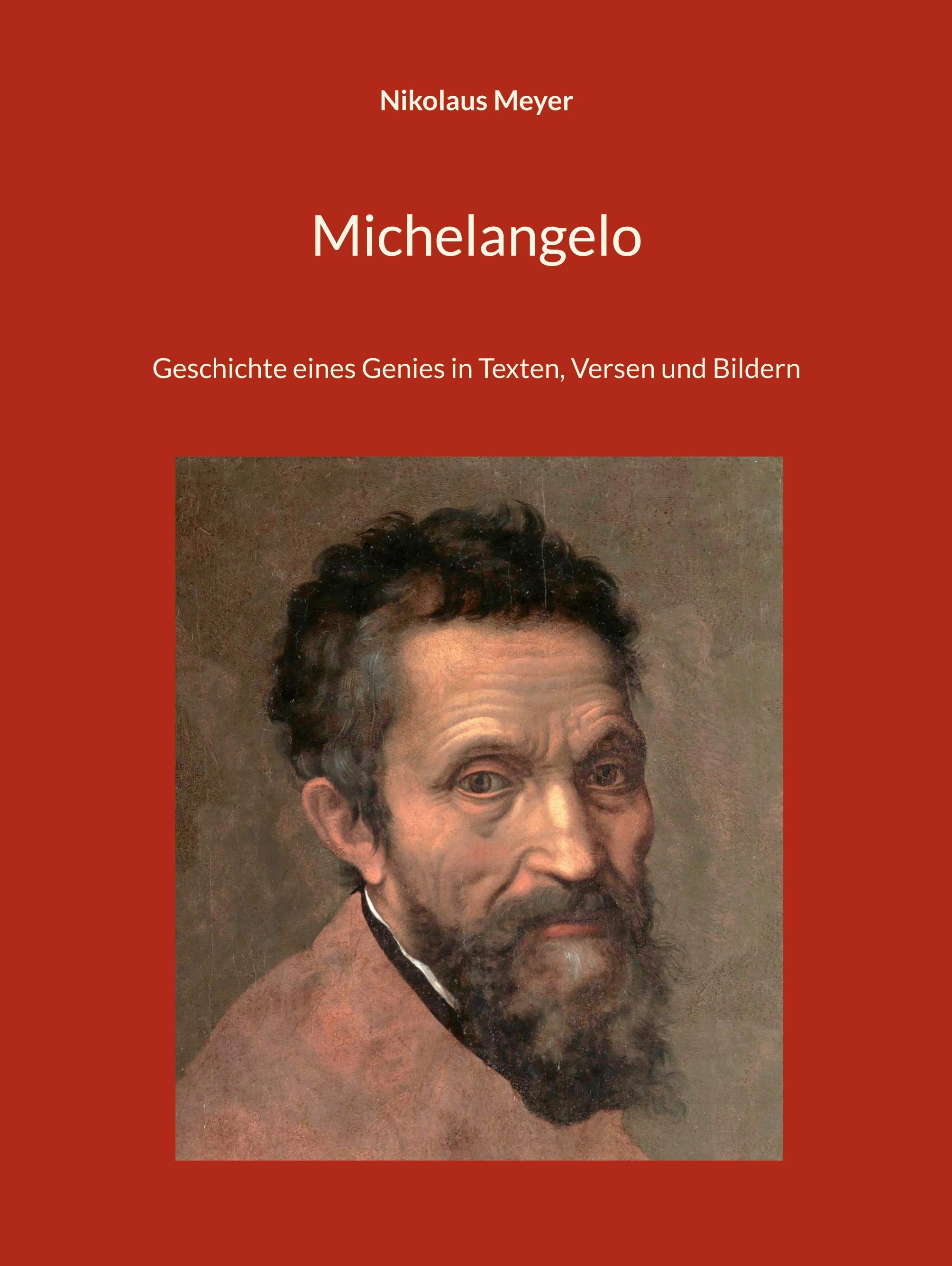 Vorderes Coverbild Michelangelo