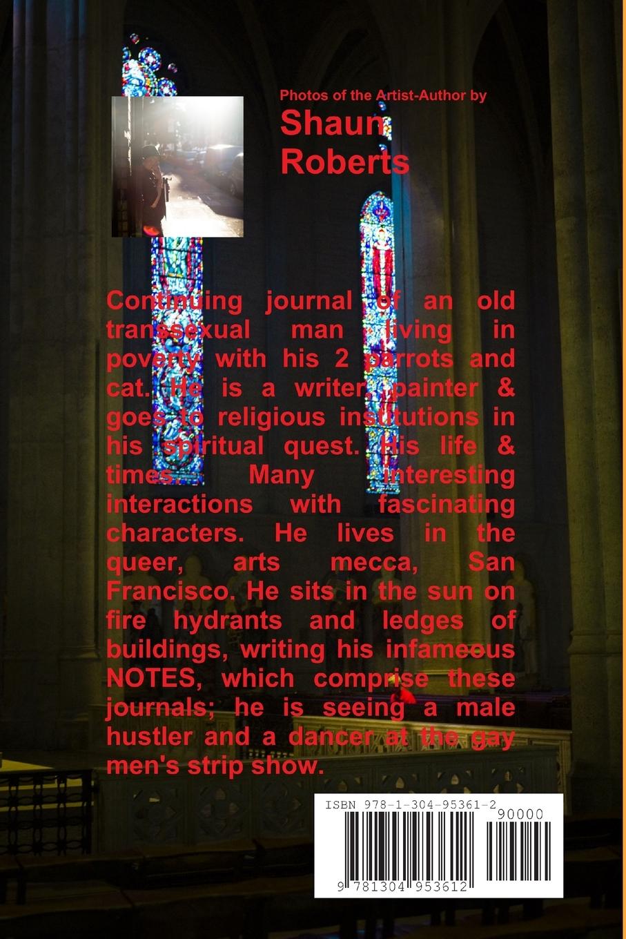 Rückseitencover A Soul's Journey --1