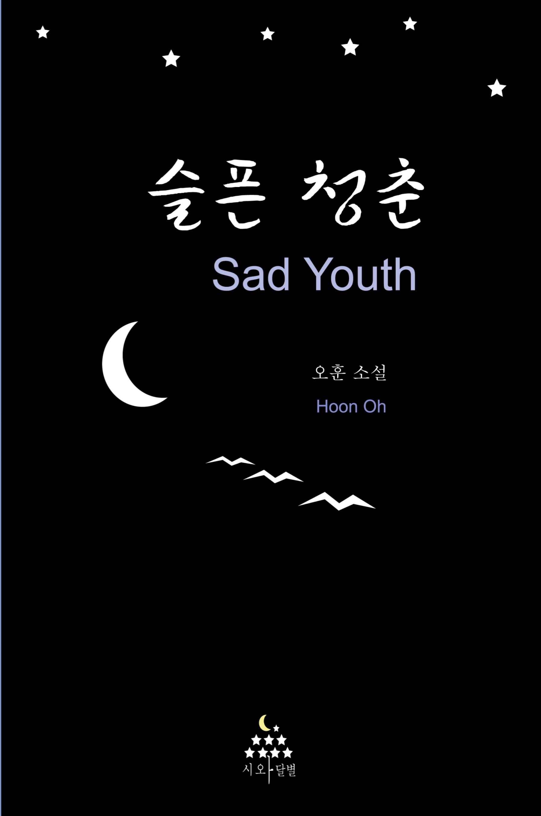Vorderes Coverbild Sad Youth