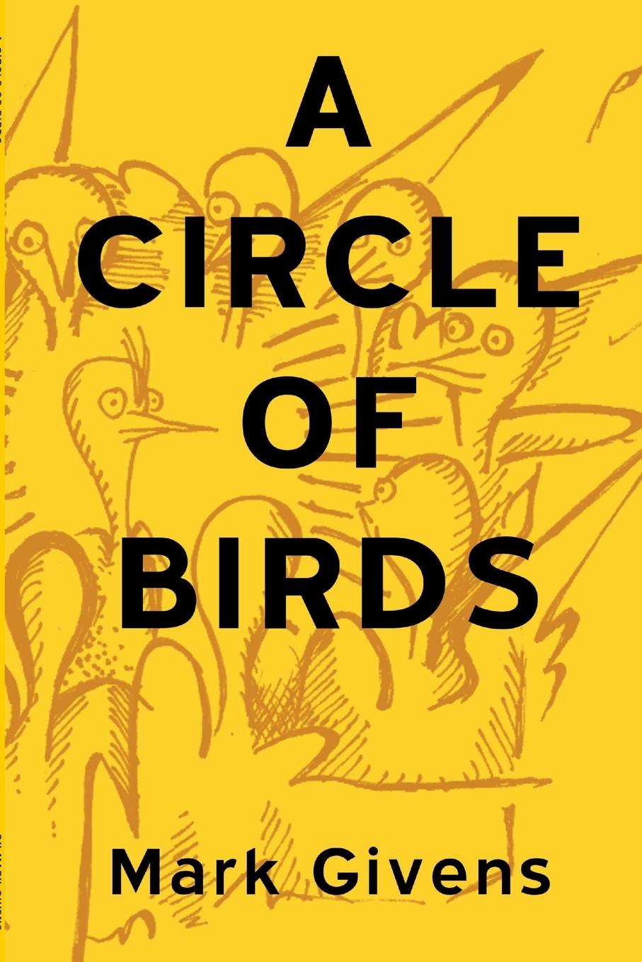 Vorderes Coverbild A Circle of Birds