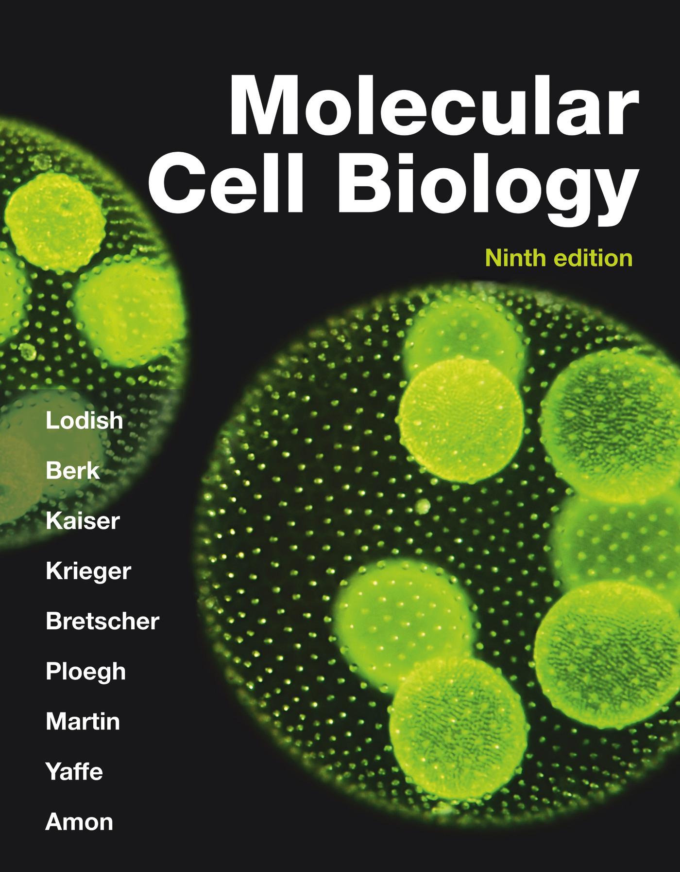 Vorderes Coverbild Molecular Cell Biology (International Edition)