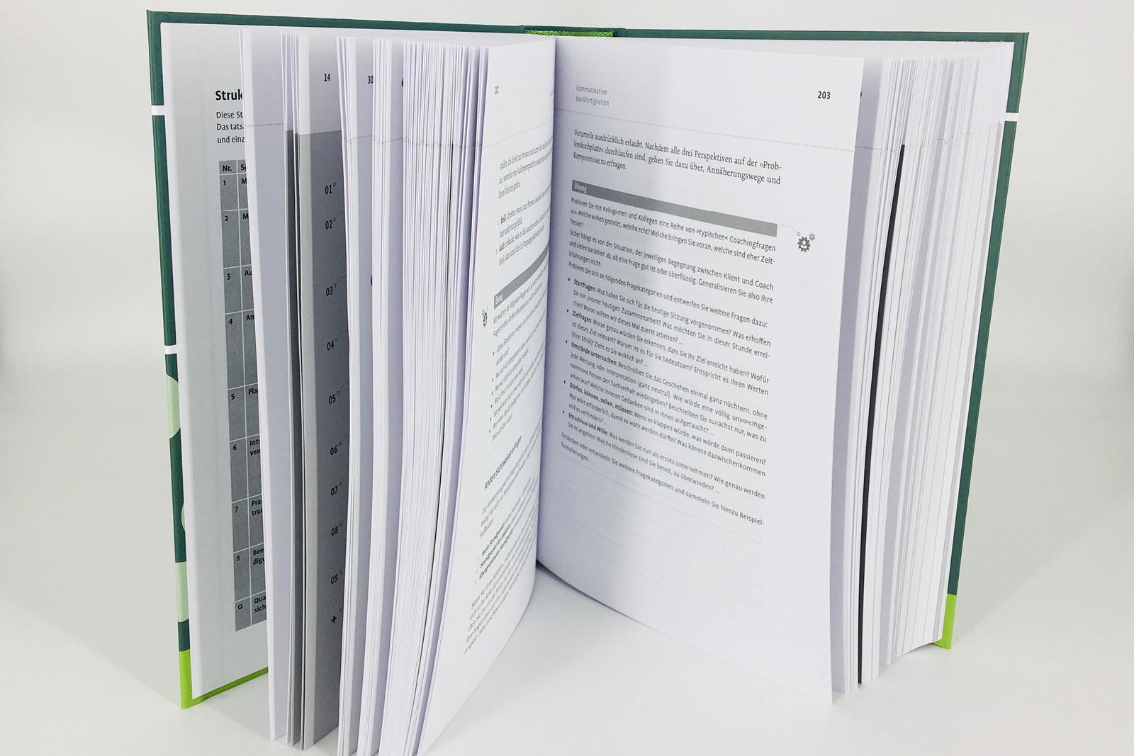 Beispielinhalt (Bild) Handbuch Coaching und Beratung