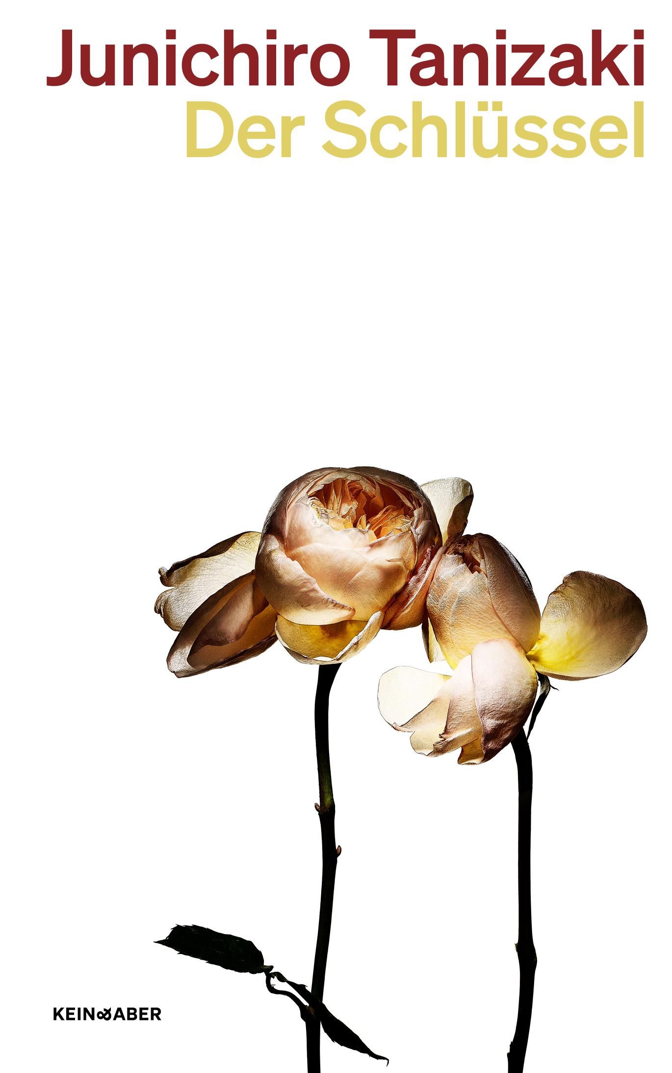 Vorderes Coverbild Der Schlüssel