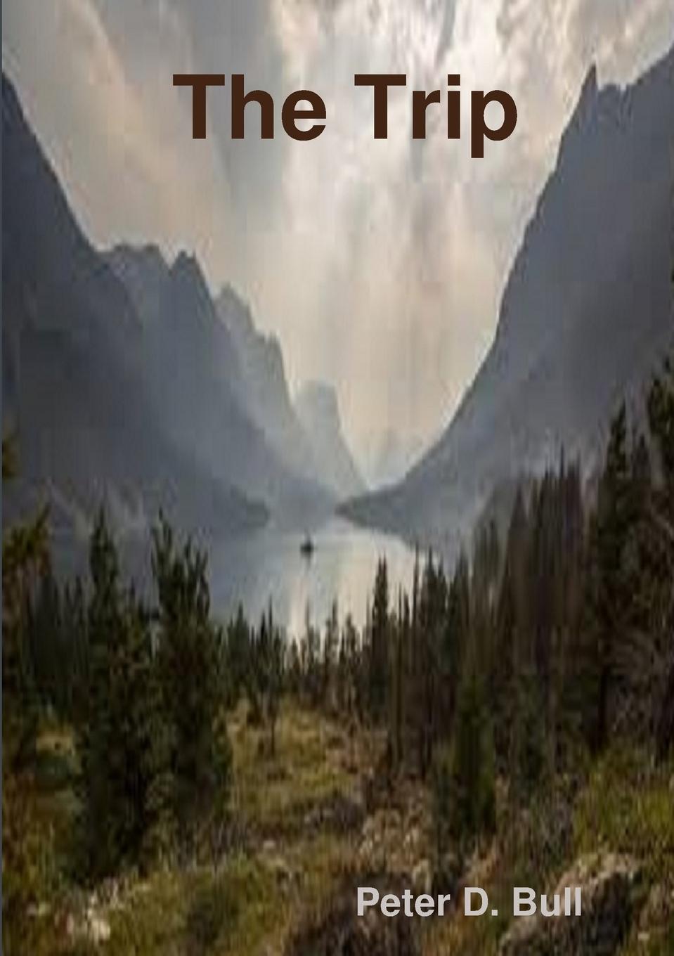 Vorderes Coverbild The Trip