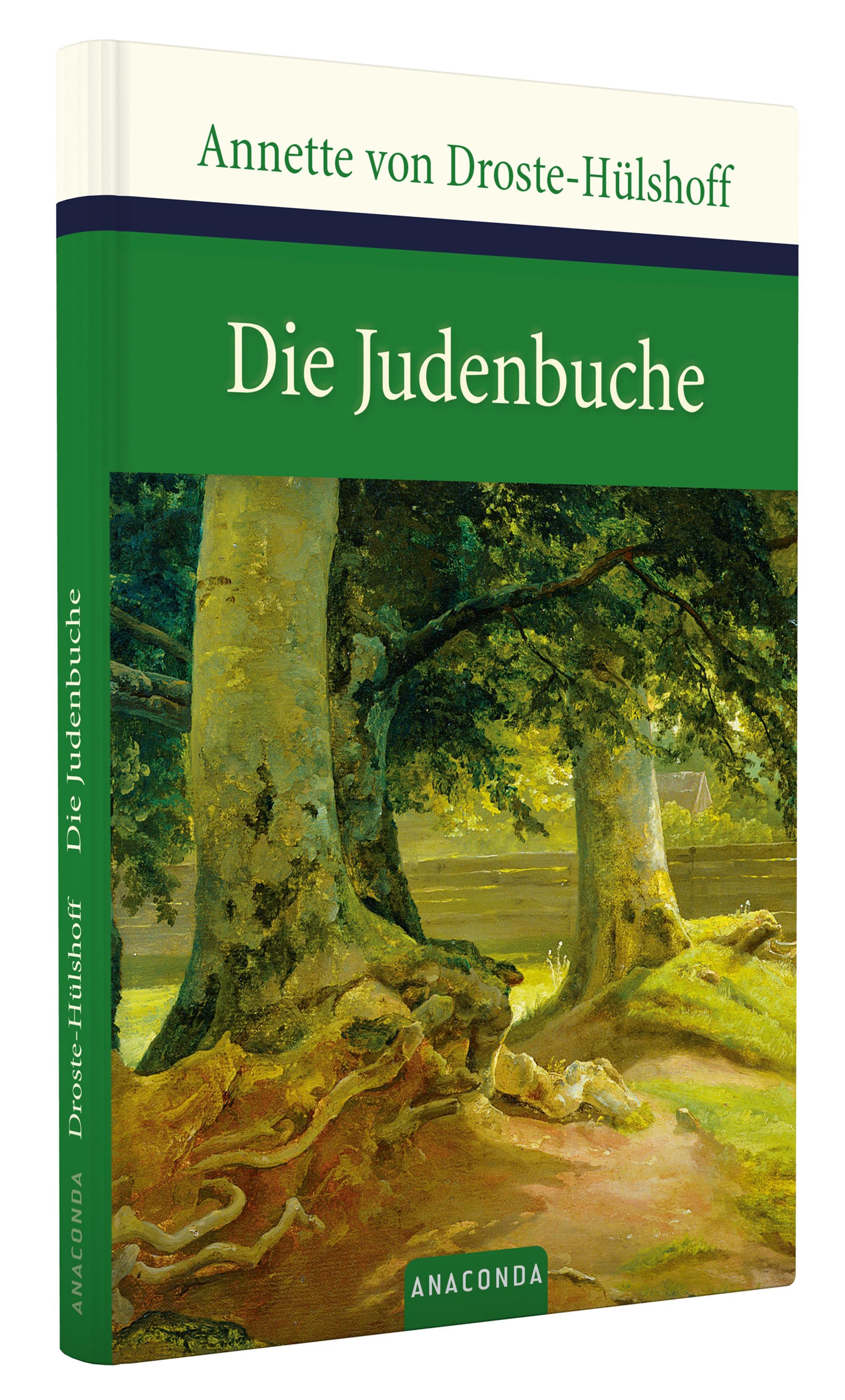 Beispielinhalt (Bild) Die Judenbuche