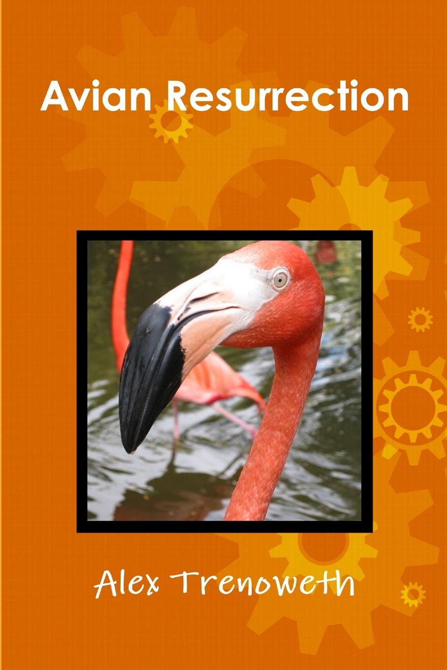 Vorderes Coverbild Avian Resurrection