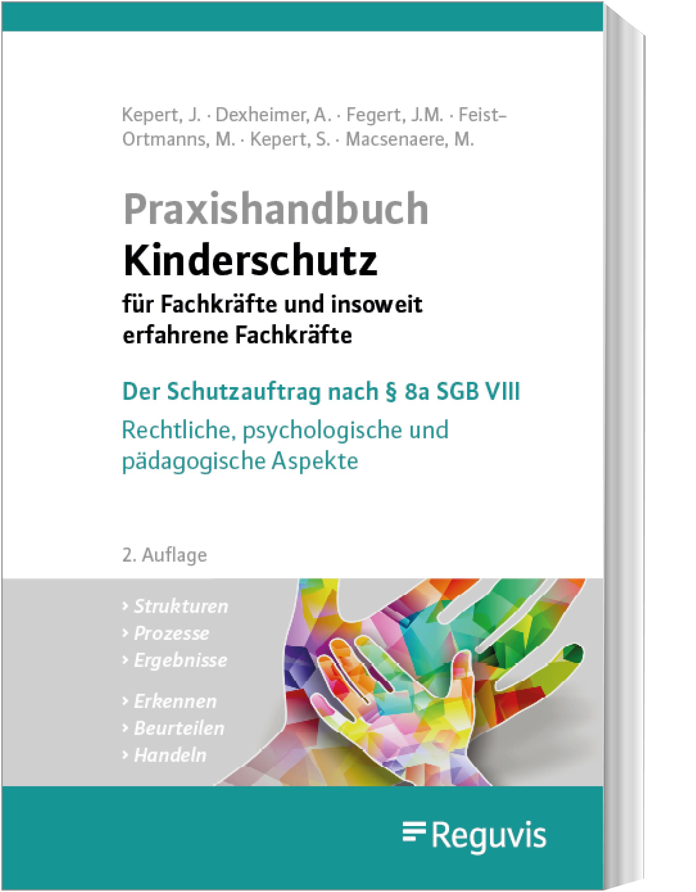 Vorderes Coverbild Praxishandbuch Kinderschutz für Fachkräfte und insoweit erfahrene Fachkräfte