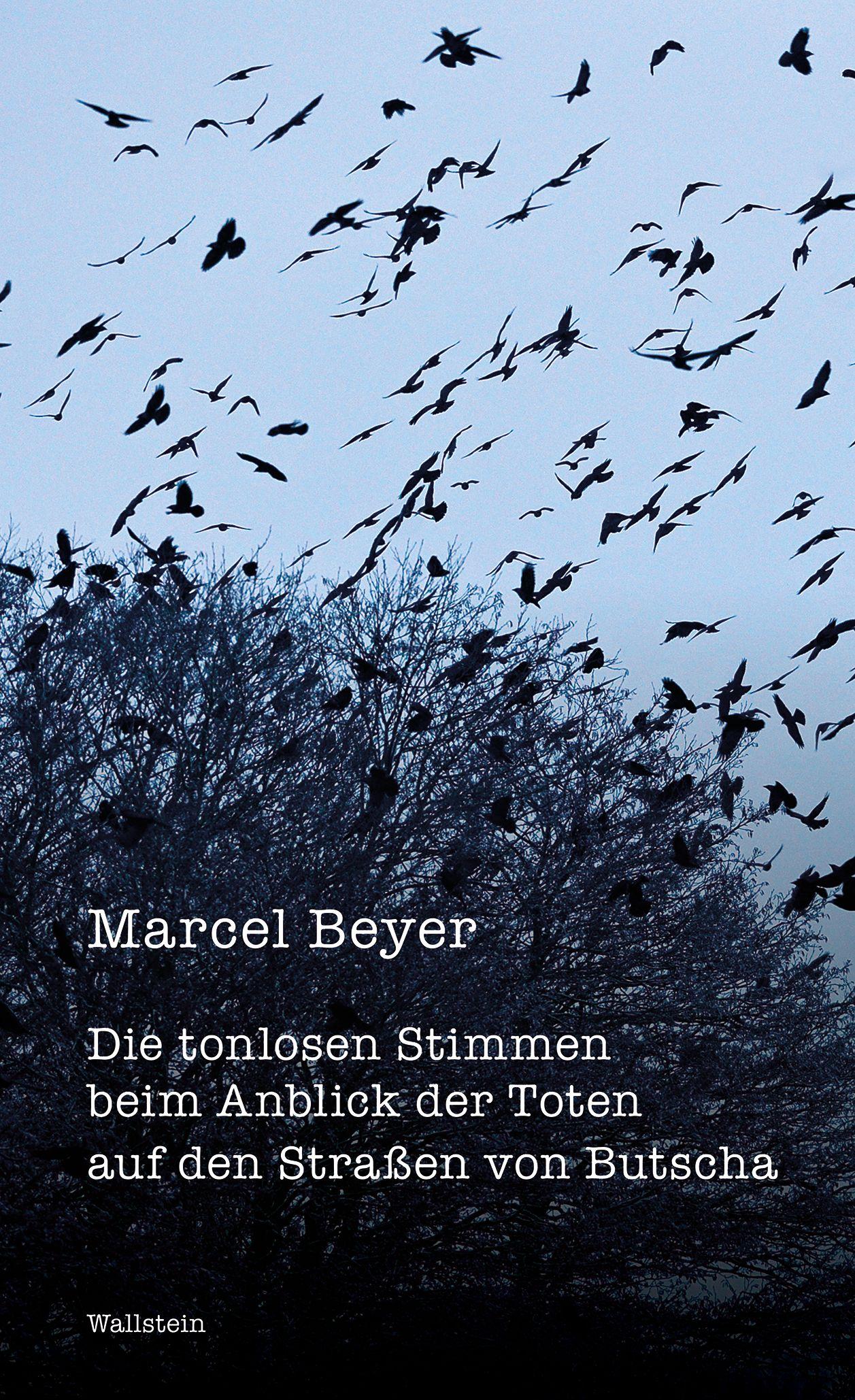 Vorderes Coverbild Die tonlosen Stimmen beim Anblick der Toten auf den Straßen von Butscha