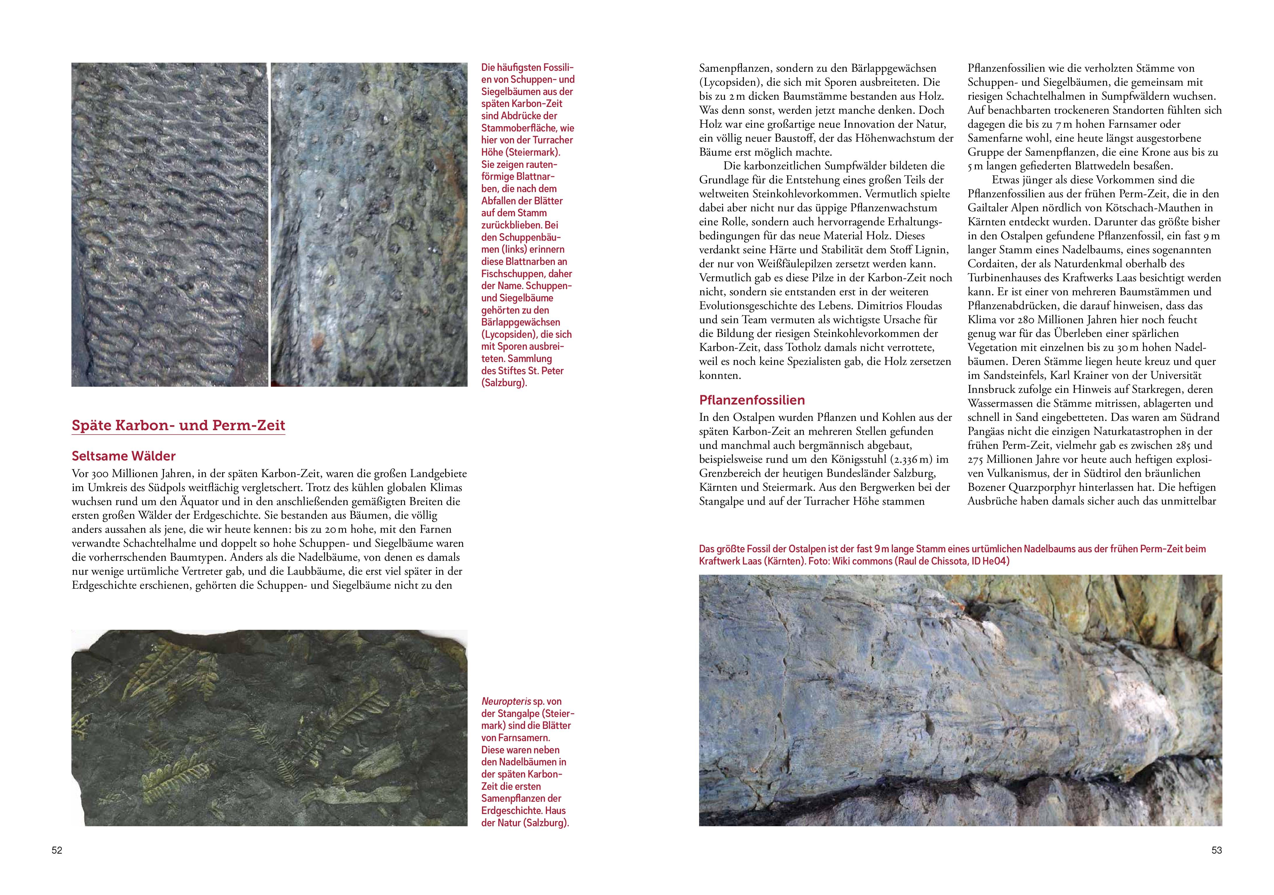 Beispielinhalt (Bild) Ostalpen-Saga