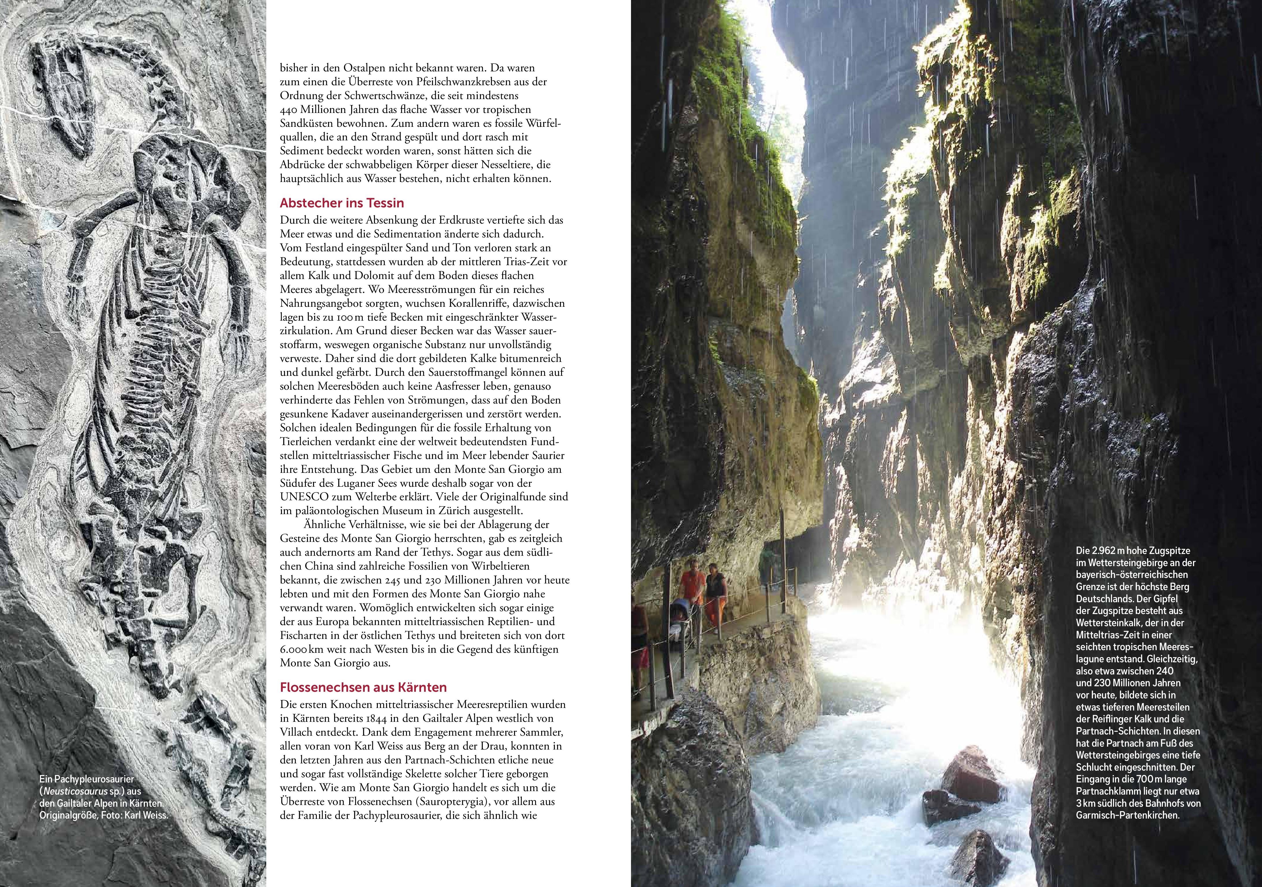 Beispielinhalt (Bild) Ostalpen-Saga