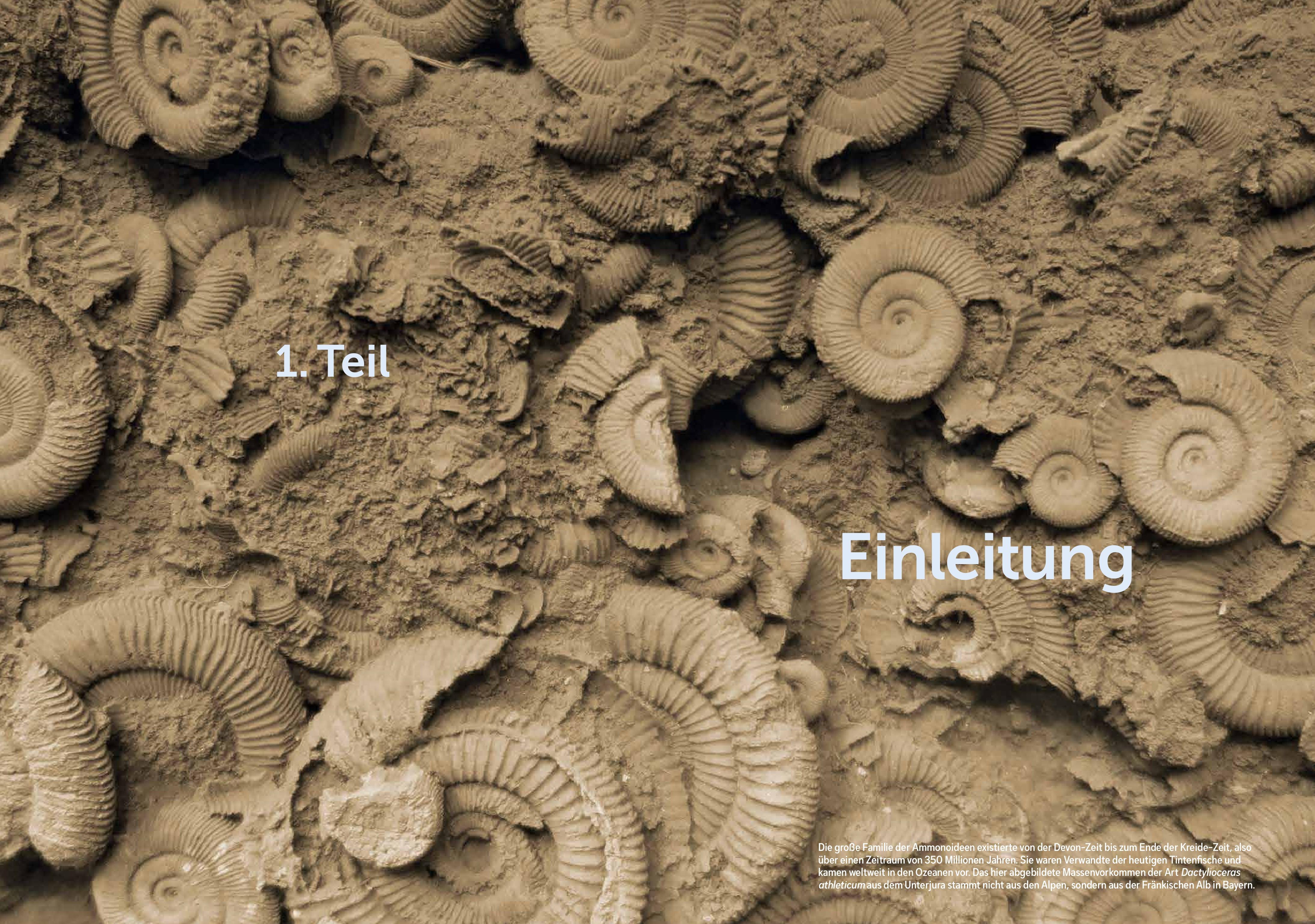 Beispielinhalt (Bild) Ostalpen-Saga
