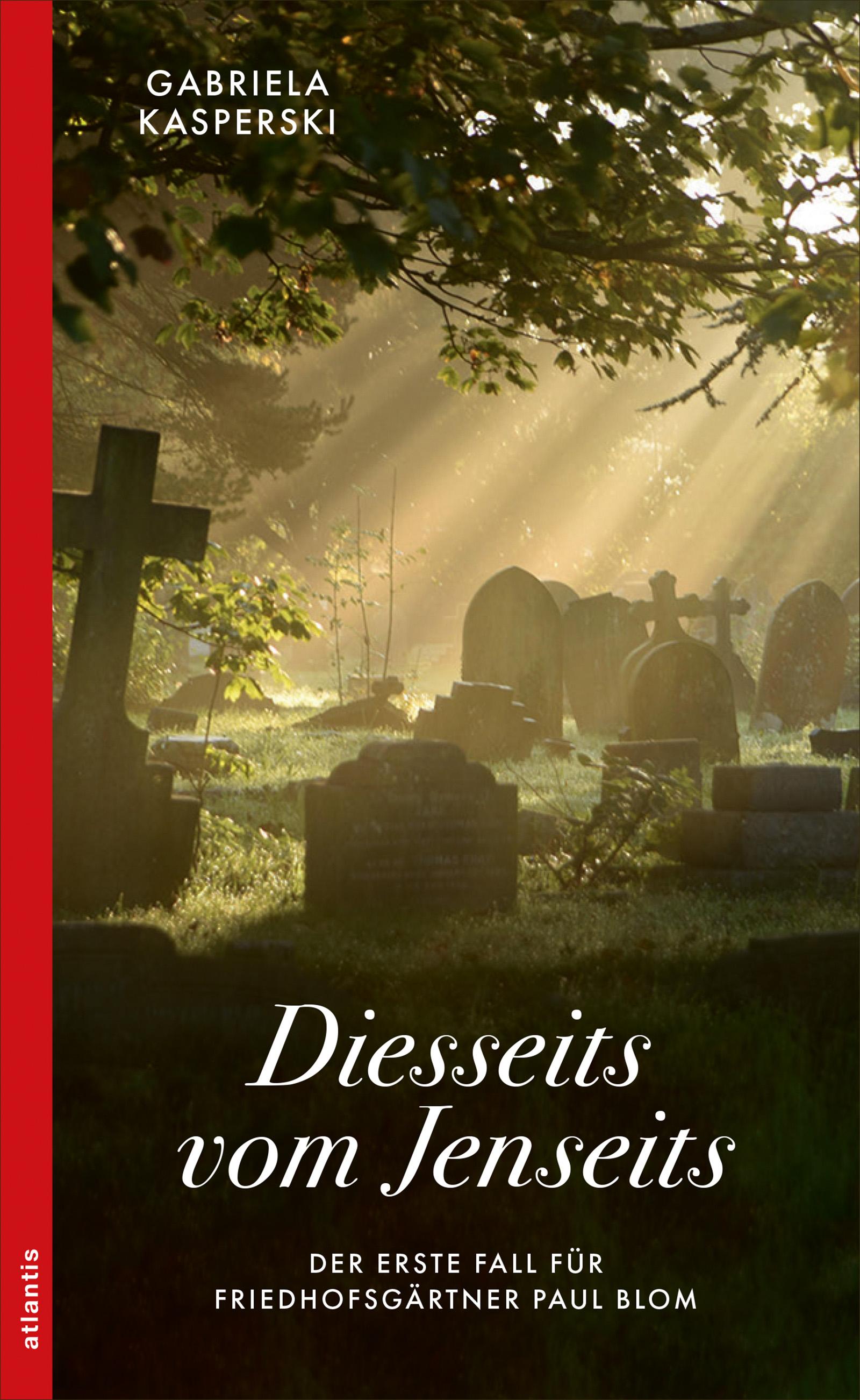Vorderes Coverbild Diesseits vom Jenseits