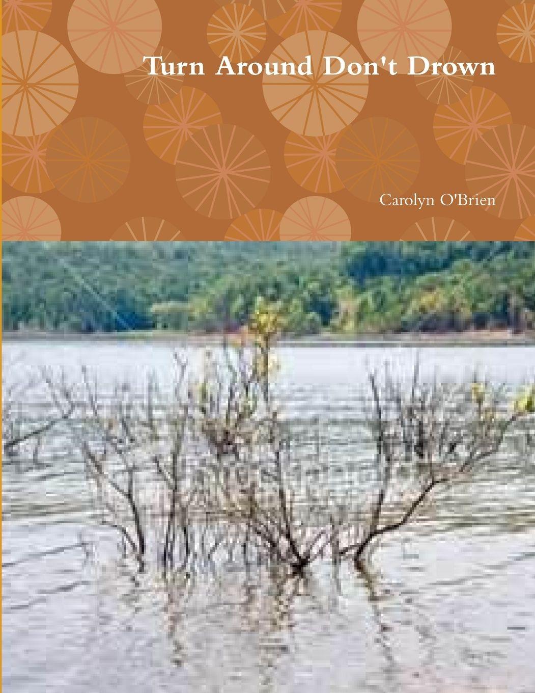 Vorderes Coverbild Turn Around Don't Drown