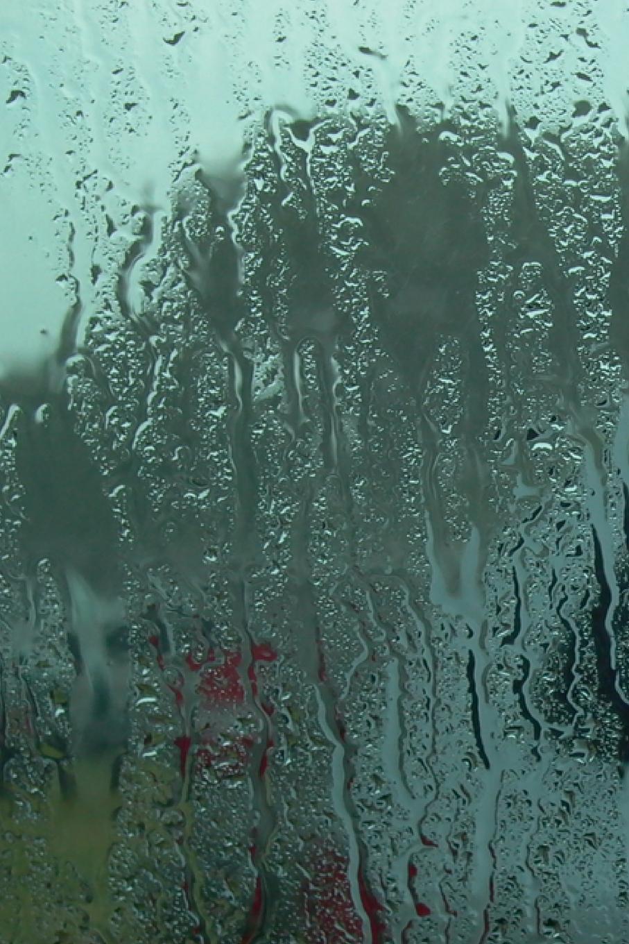 Rückseitencover Selected Non-Fiction