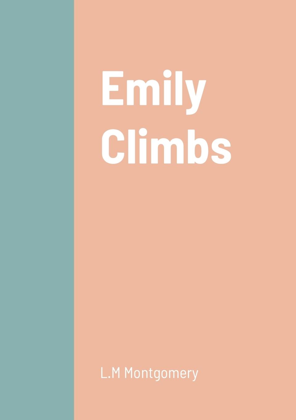 Vorderes Coverbild Emily Climbs