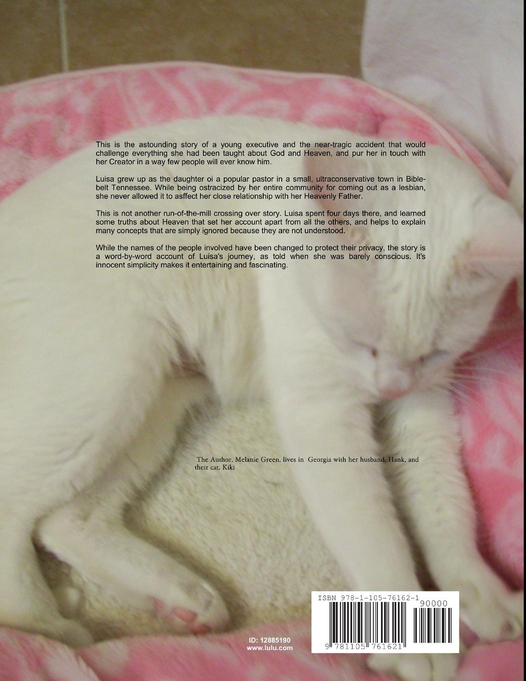 Rückseitencover The Long Road Home